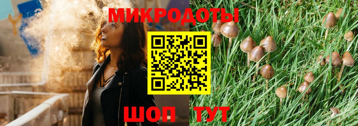 Галлюциногенные грибы прущие грибы  Вход с VPN  Кунгур 